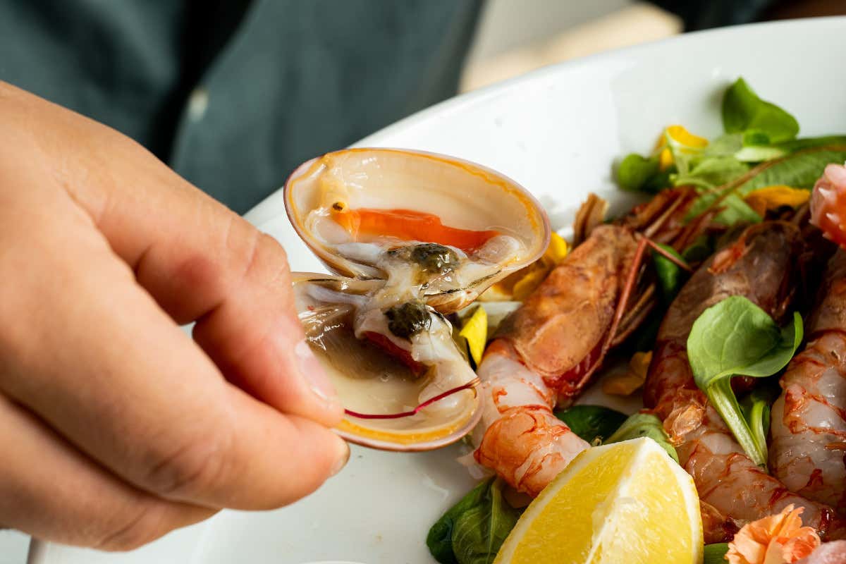Bazzano Beach, a Sperlonga una storia di mare e di gusto