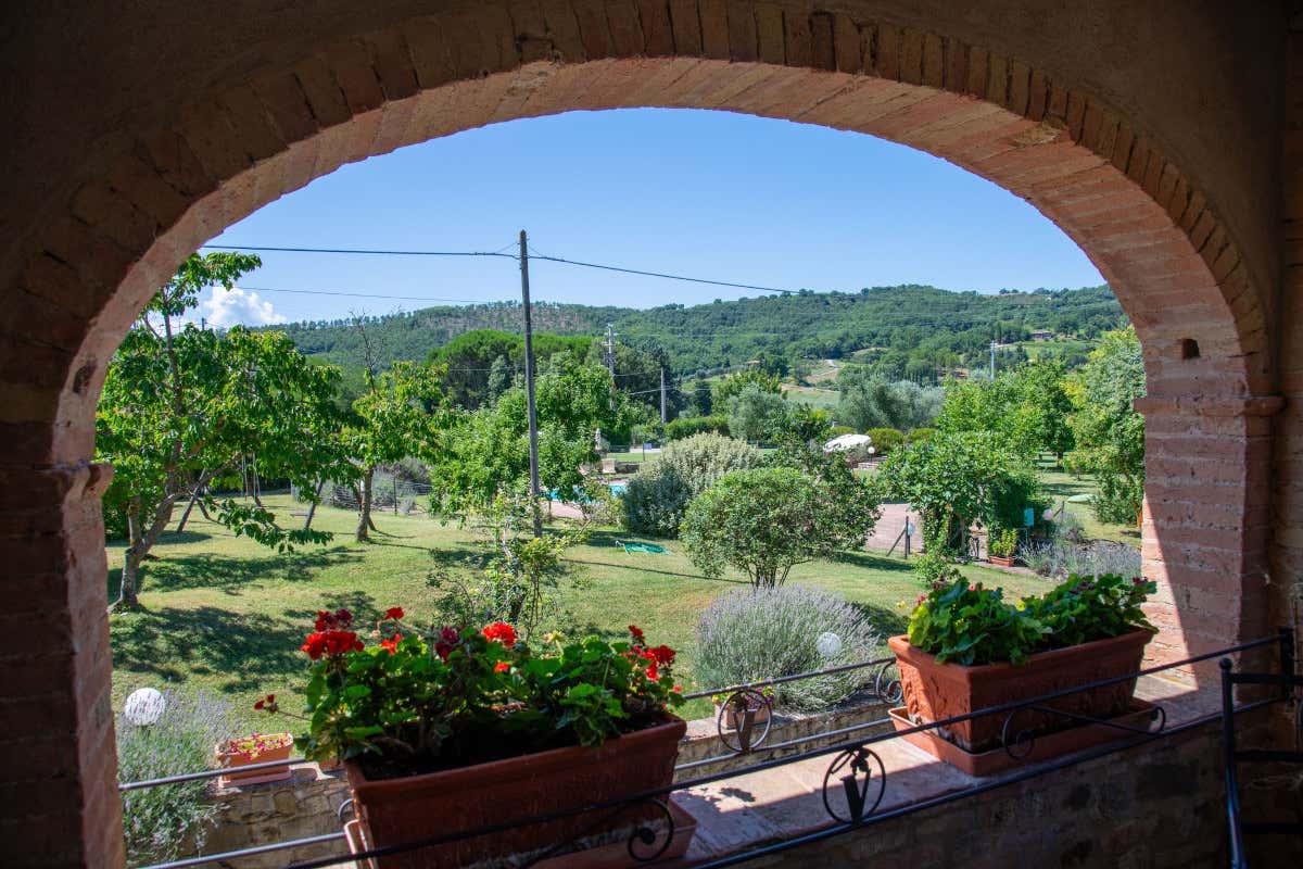 Non solo vino: Piombaia di Montalcino è anche agriturismo e ristorante