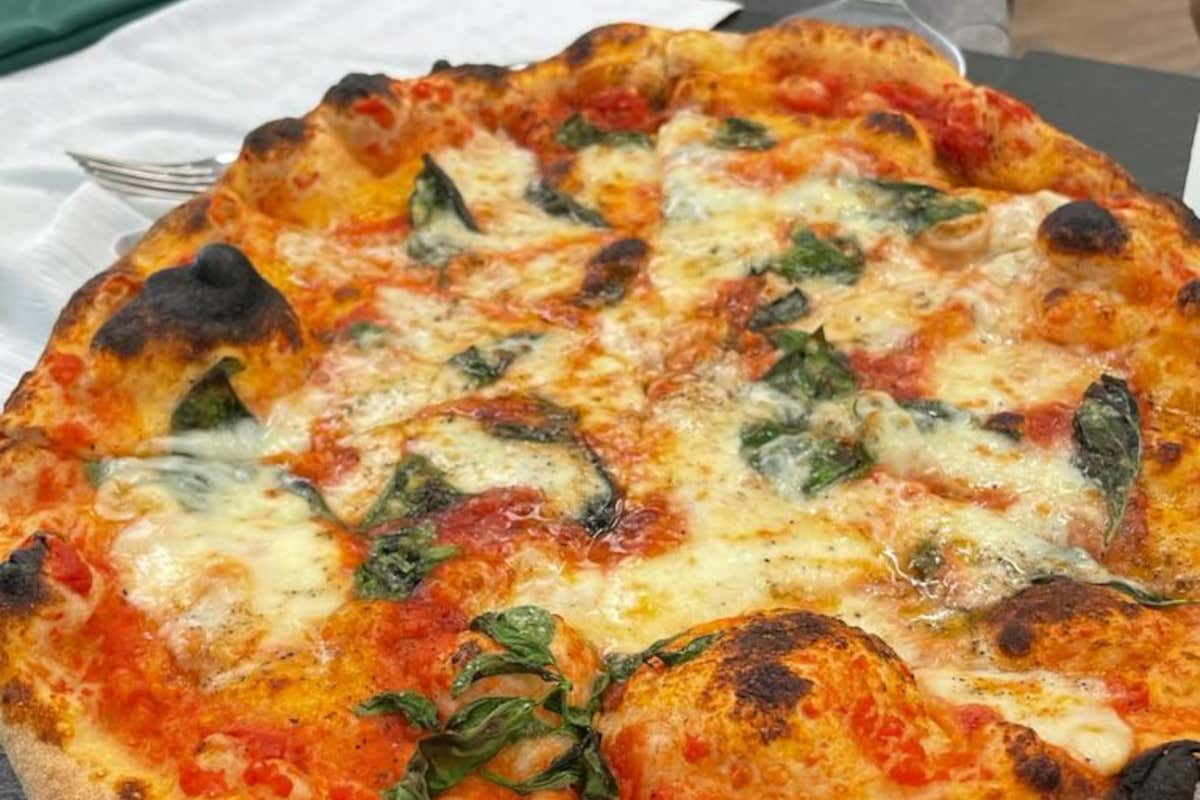 Pizza napoletana, pinsa romana e piadina alla Pizzeria Gourmet Agorini