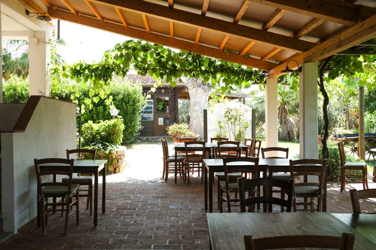 Dieci esperienze imperdibili sull’Isola d’Elba tra immersioni, balene e miniere