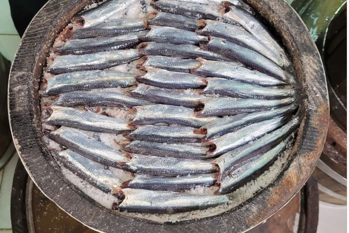 Viaggio a Cetara alla scoperta della colatura delle alici