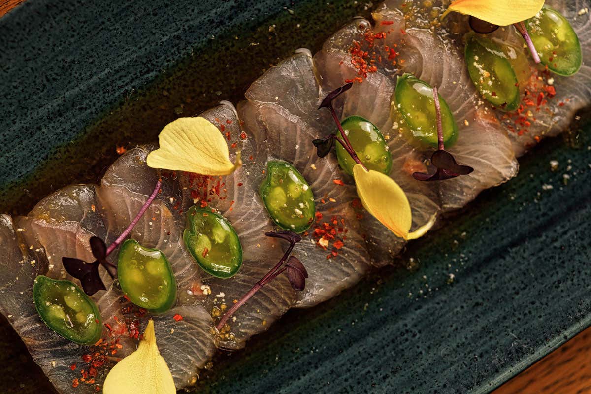 Sushi, robata e ospitalità giapponese: il concept di Katei a Milano