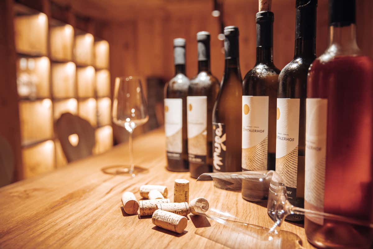 Panorama Wellness Hotel Feldthurnerhof, foto di Map'Hotel Inverno nei Vinum Hotels in Alto Adige tra vino e ciaspole