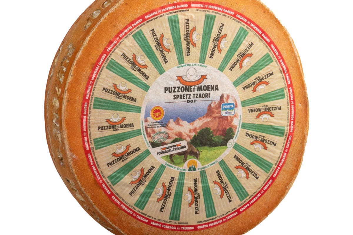 Puzzone di Moena Dop- Caseificio Predazzo e Moena Italian Cheese Awards, il pecorino Gregoriano è il formaggio dell’anno