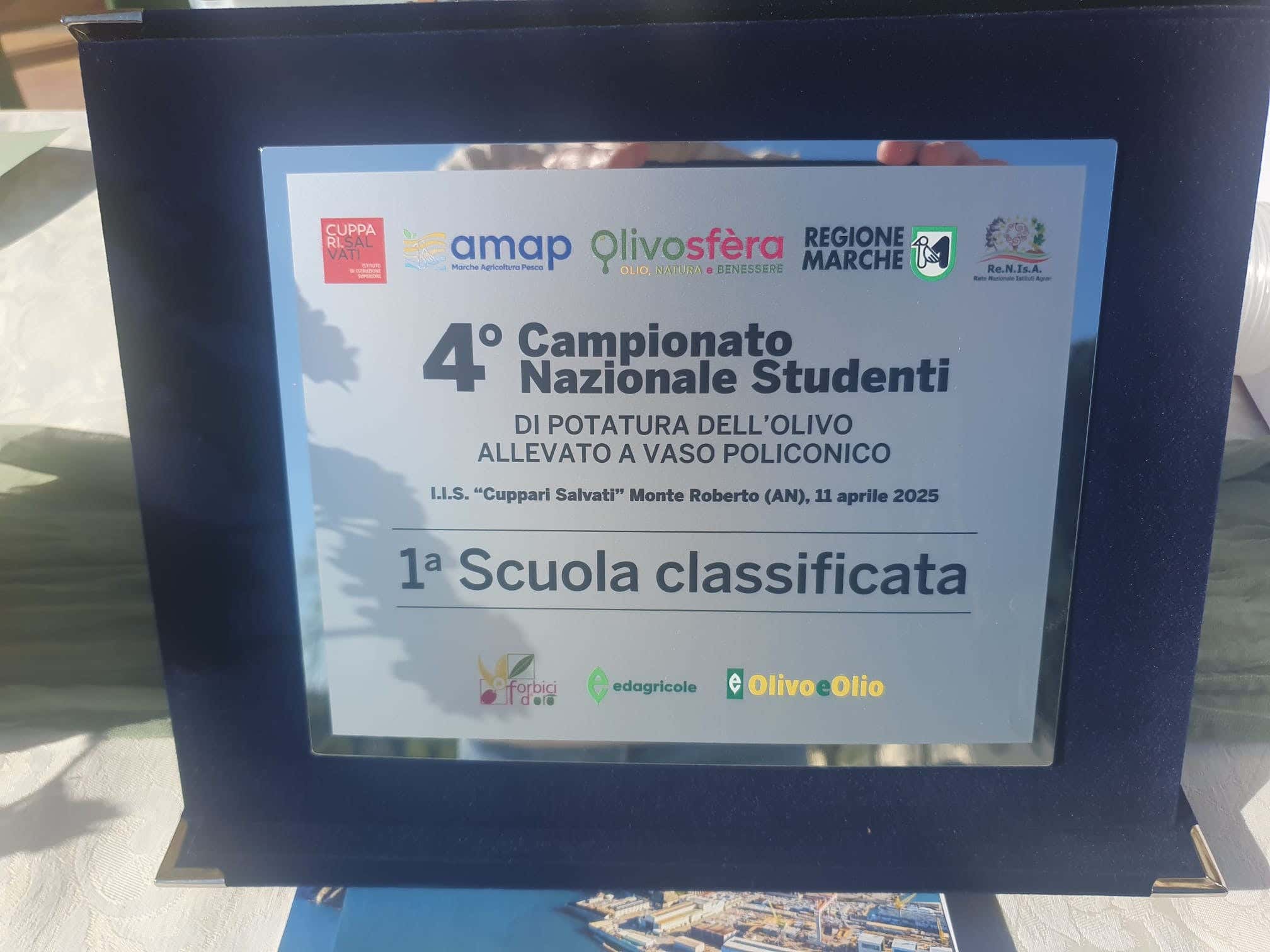 Campionato italiano di potatura d'olivo a Villa Salvati. Nove istituti agrari a contendersi il titolo