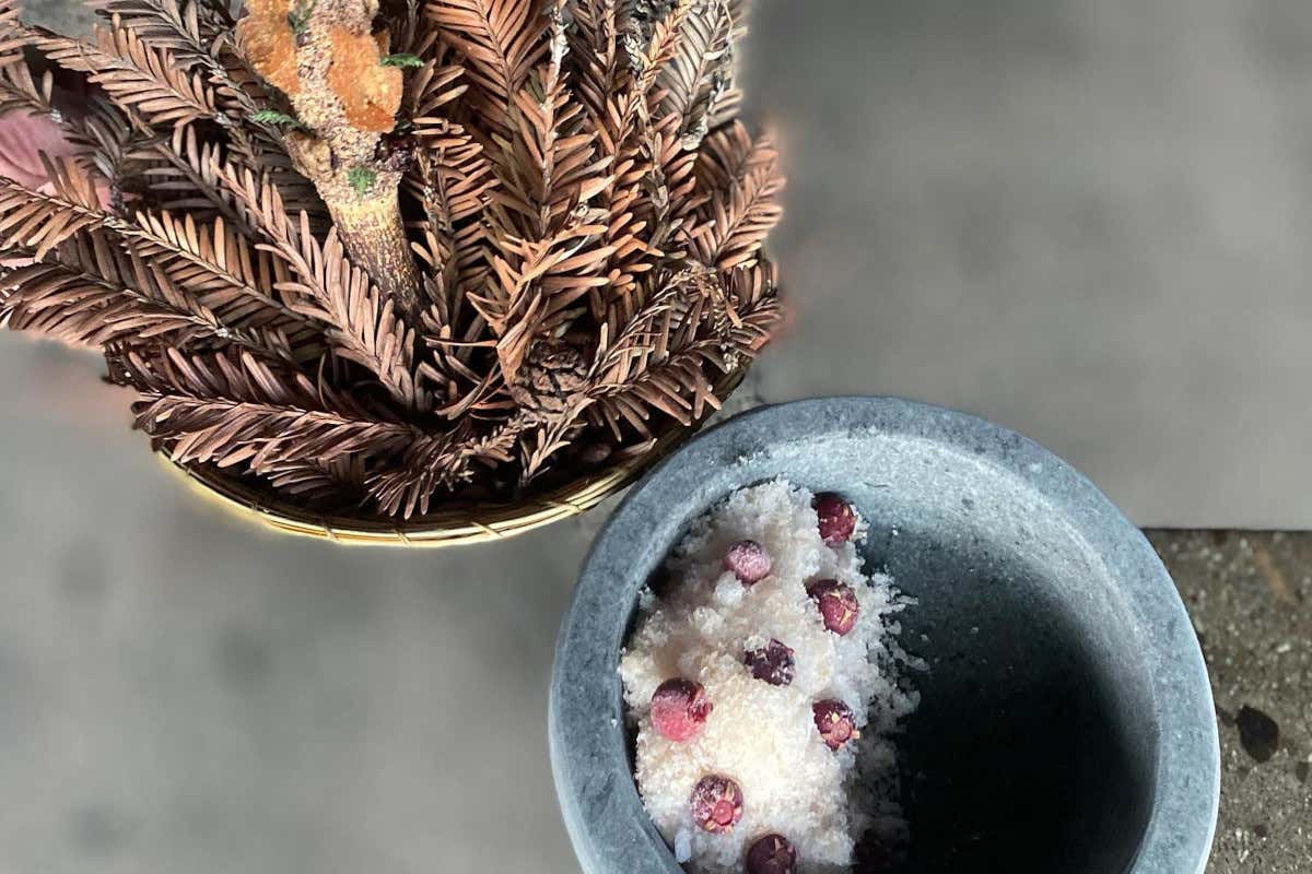 La cucina endemica di Rodolfo Guzmán, il cuoco cileno fra i più famosi al mondo