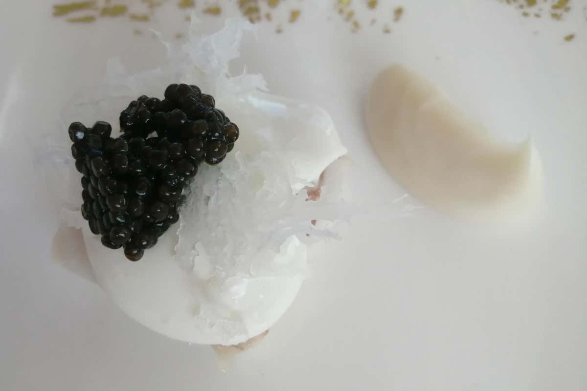 Un vignaiolo francese in Toscana: la storia della tenuta Colline Albelle