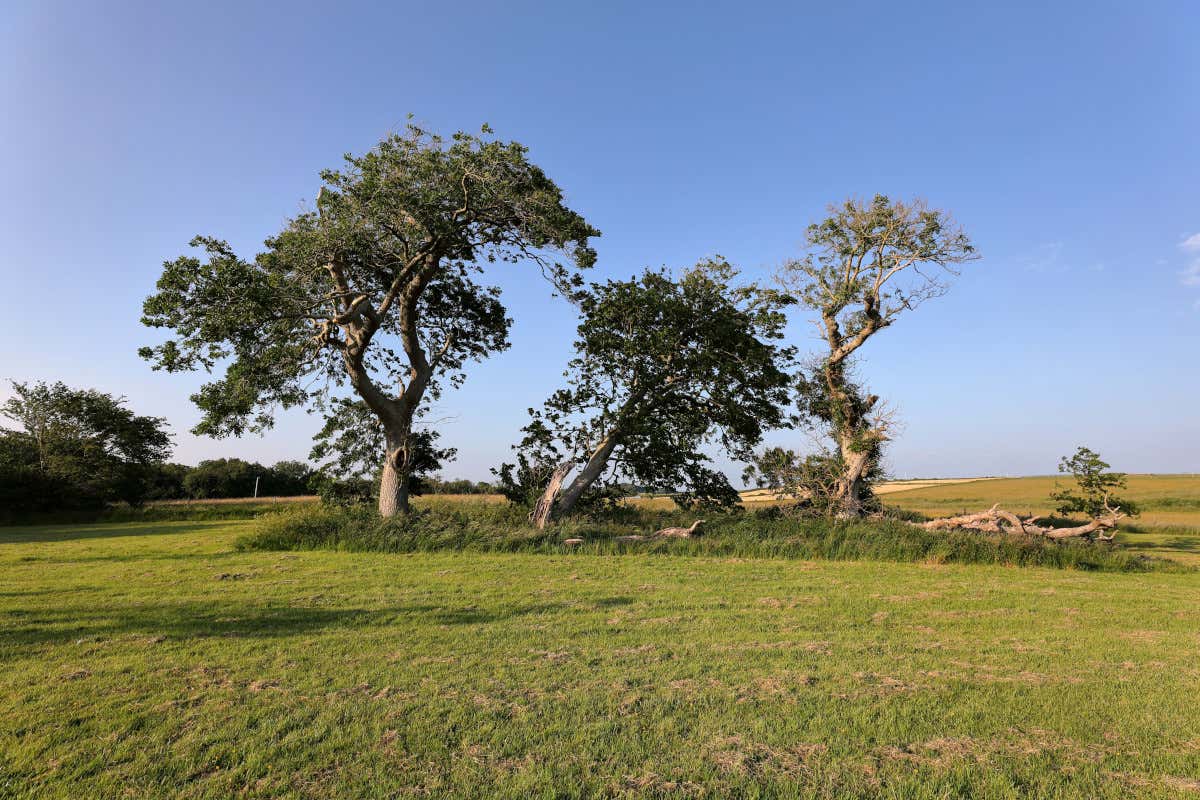 Alla scoperta di Galway con Nicola Coughlan, la Penelope di Bridgerton