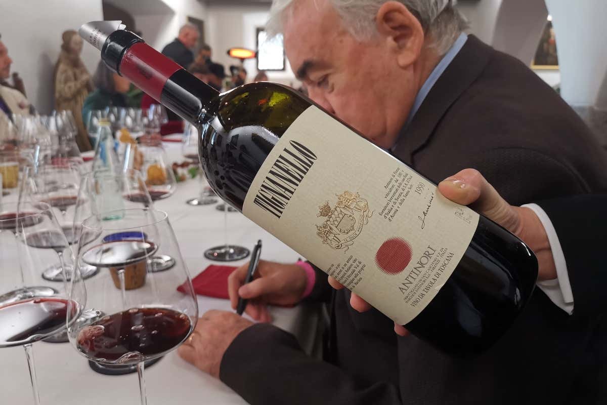 Sassicaia e Tignanello, ecco perché sono i due vini che tutti vorrebbero assaggiare