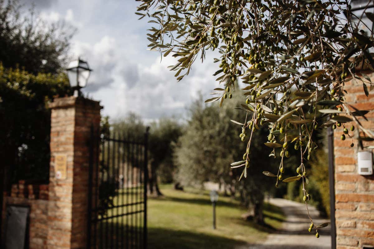 Un nuovo resort a “7 stelle” nel Pisano: ecco il borgo diffuso di Villa Saletta