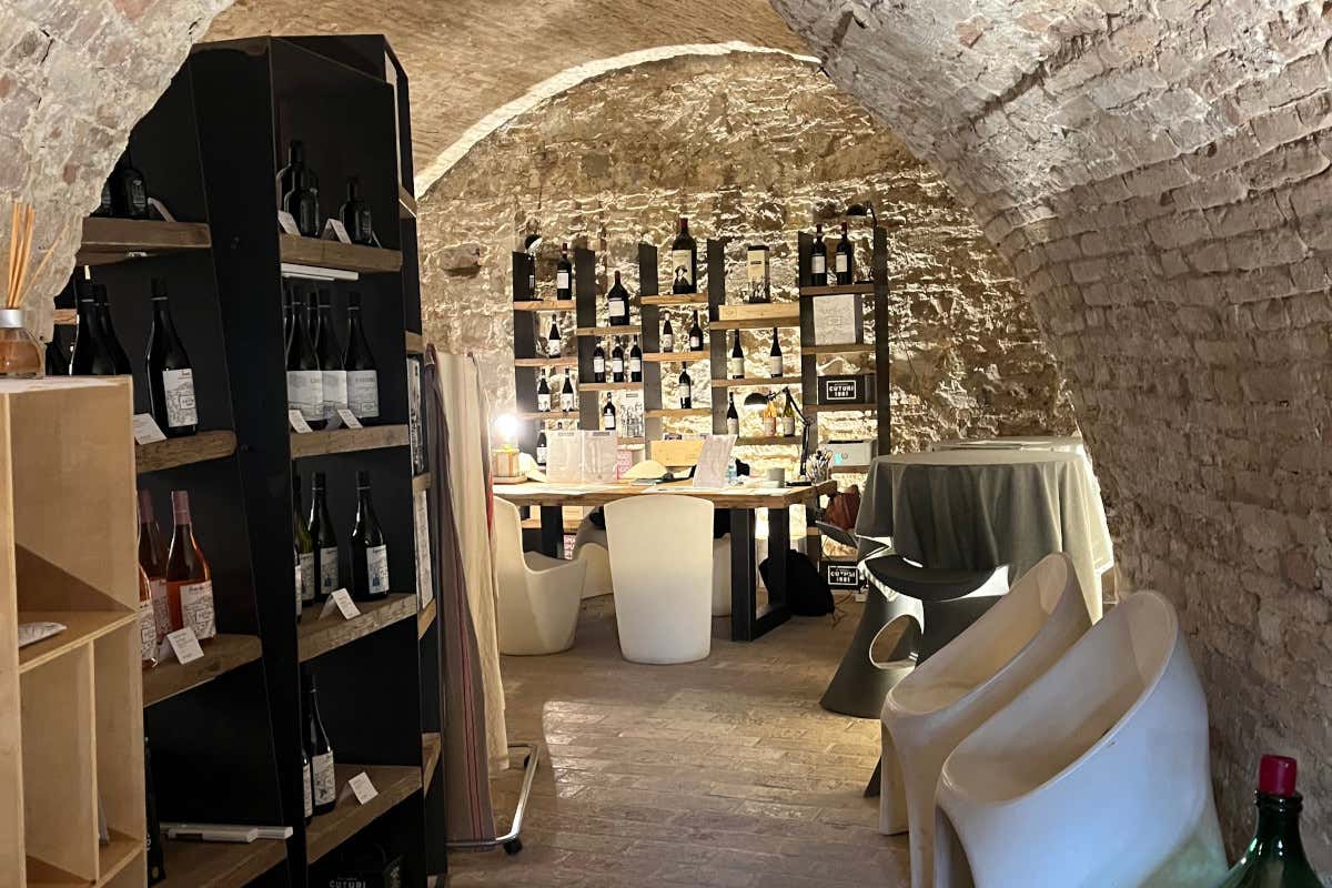 Ecco l'itinerario perfetto per vedere (e gustare) Padova in bicicletta