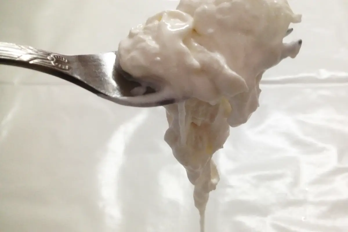 Stracciatella in Masseria&nbsp; Italian Cheese Awards, il pecorino Gregoriano &egrave; il formaggio dell&rsquo;anno