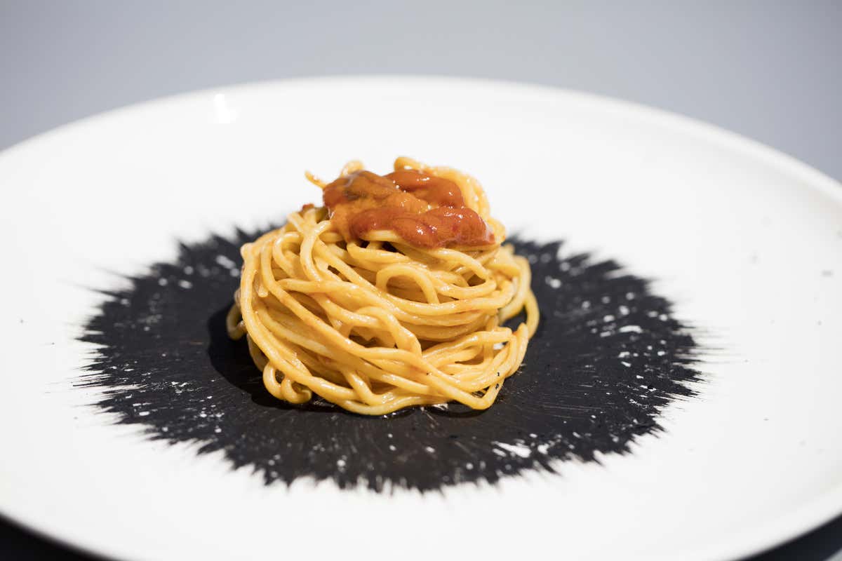 Zash, un rifugio mediterraneo per il benessere contemporaneo in Sicilia