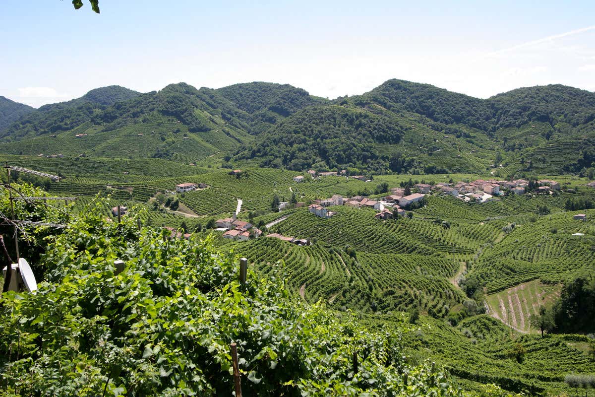 Col Vetoraz si trova a Santo Stefano di Valdobbiadene sulla sommità dell’omonimo colle, parte delle celebri colline del Cartizze. Spumanti Col Vetoraz degni interpreti della vera natura del Valdobbiadene Docg