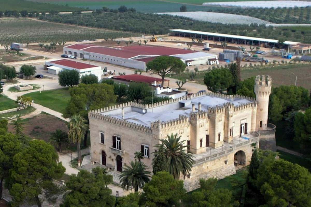 Giancarlo Ceci, l’agronomo che ha portato il vino di Castel del Monte ai vertici italiani Giancarlo Ceci, l’agronomo che ha portato il vino di Castel del Monte ai vertici italiani