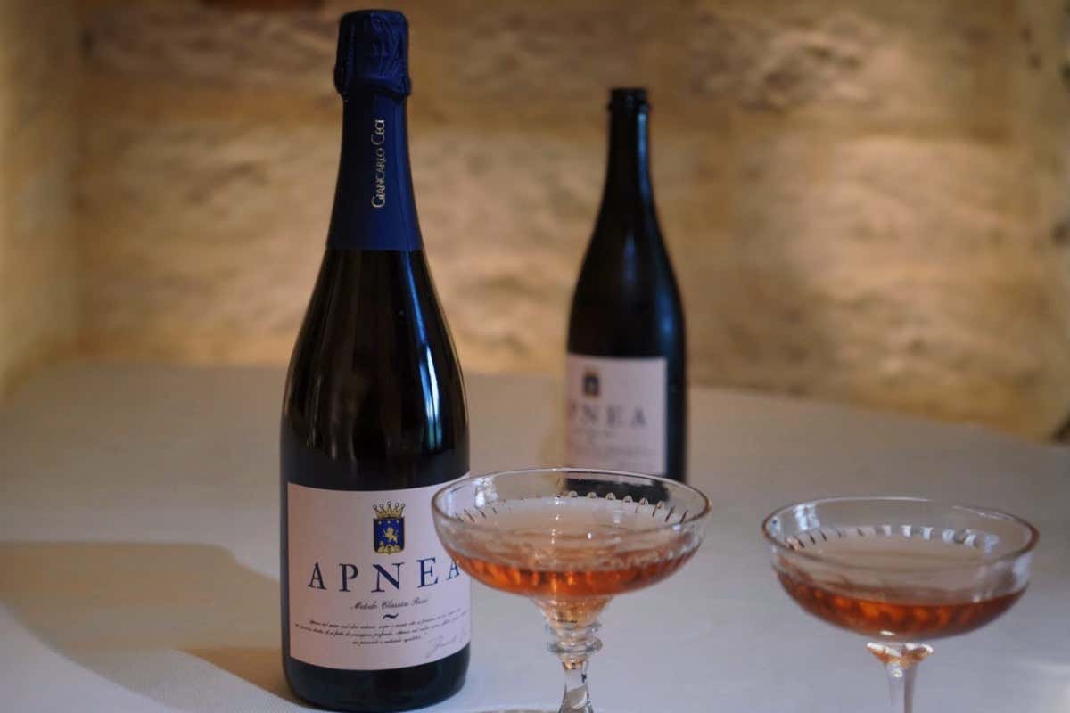 Giancarlo Ceci, l’agronomo che ha portato il vino di Castel del Monte ai vertici italiani Giancarlo Ceci, l’agronomo che ha portato il vino di Castel del Monte ai vertici italiani