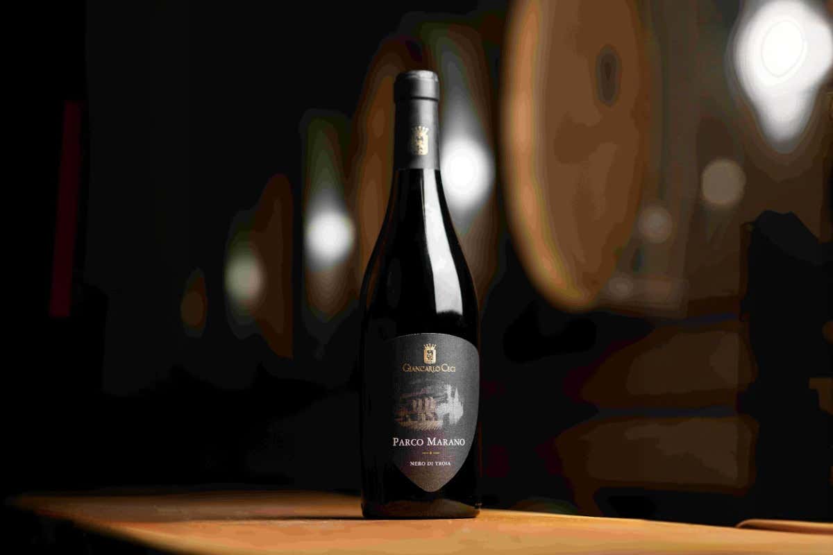 Giancarlo Ceci, l’agronomo che ha portato il vino di Castel del Monte ai vertici italiani Giancarlo Ceci, l’agronomo che ha portato il vino di Castel del Monte ai vertici italiani