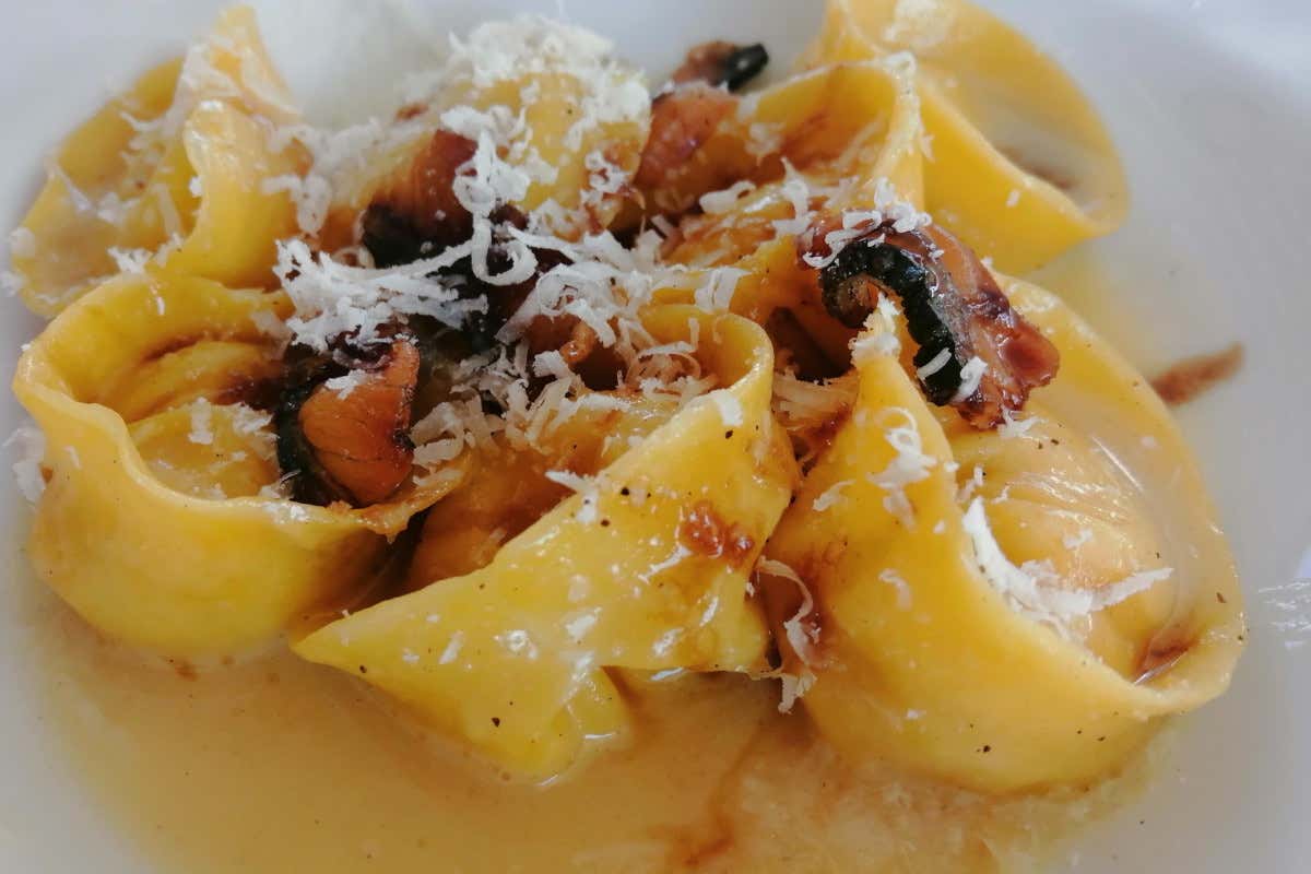 Un vignaiolo francese in Toscana: la storia della tenuta Colline Albelle