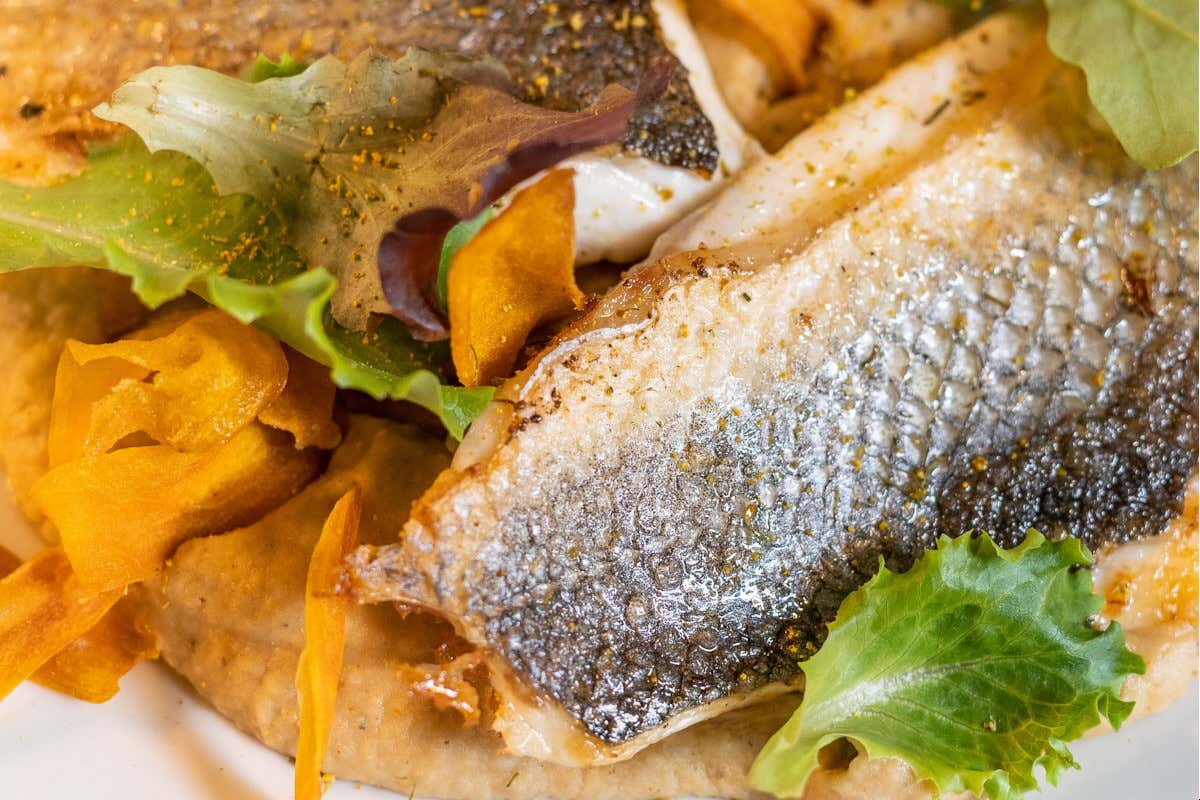 Ecco un ristorante di pesce da “Amare” nel cuore di Roma