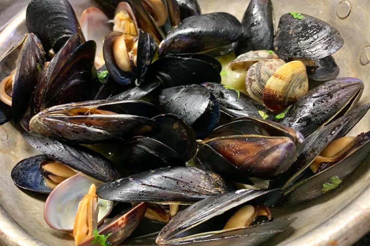 Cosa si mangia da Marina, la trattoria di solo pesce a San Salvo