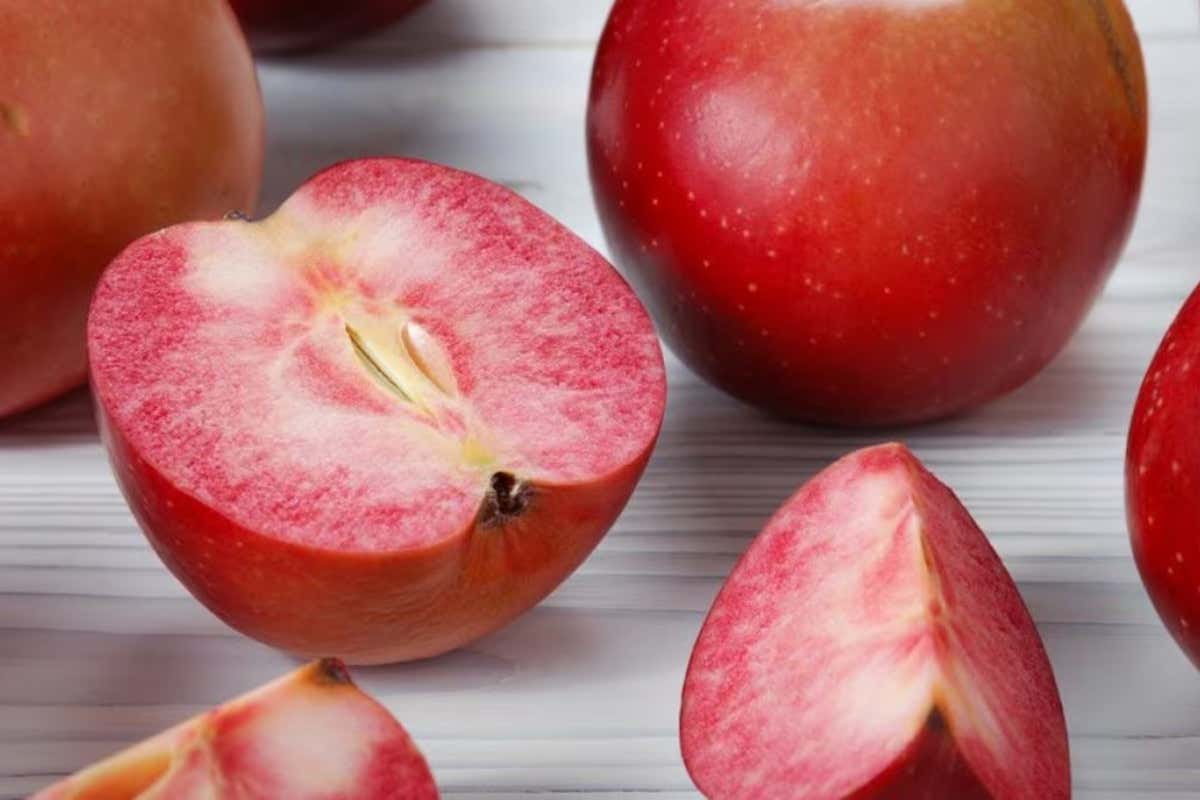 Cena con abbinamenti insoliti? Un menu con il sidro dall'antipasto al dessert