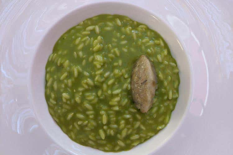 Il risotto all'ortica - Sotto il pergolato, Casa Coloni esalta le materie prime di Paestum