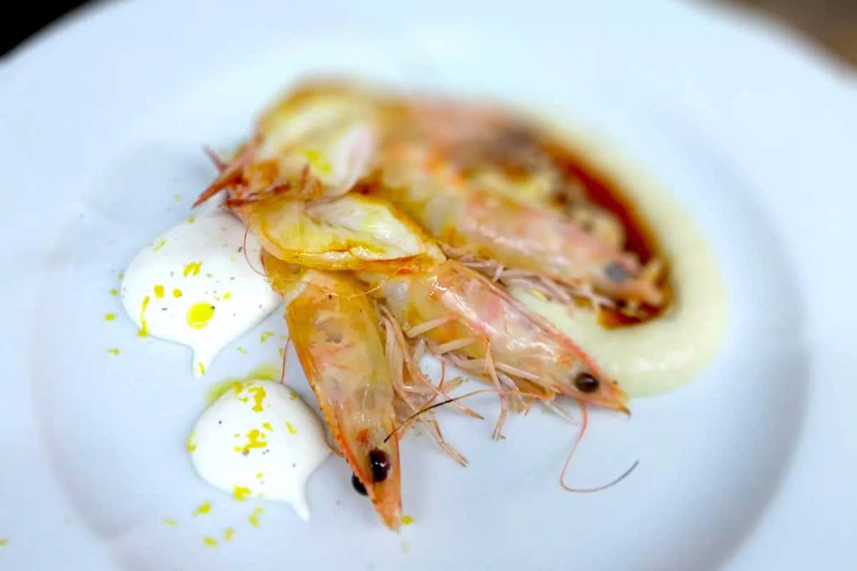 Terrazza Marconi a Senigallia, quando il mare &quote;entra&quote; in hotel