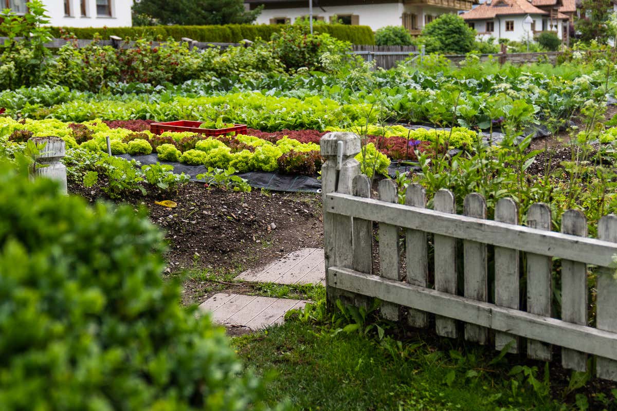 Hotel Majestic di Riscone, un'oasi di lusso e relax tra le Dolomiti