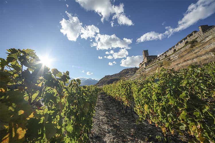 I vigneti valdostani - A spasso per l&rsquo;Italia Valle d'Aosta, tipicit&agrave; italo-francesi