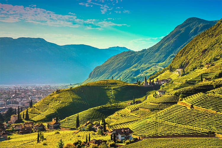 Dai venti freddi delle Dolomiti alle alte temperature estive - A spasso per L’Italia: Turismo Enogastronomico – Il Trentino AltoAdige