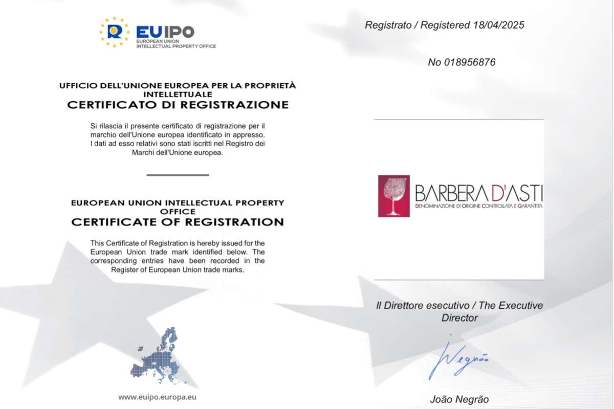 Barbera d'Asti, registrato il marchio collettivo: più tutela per la Docg