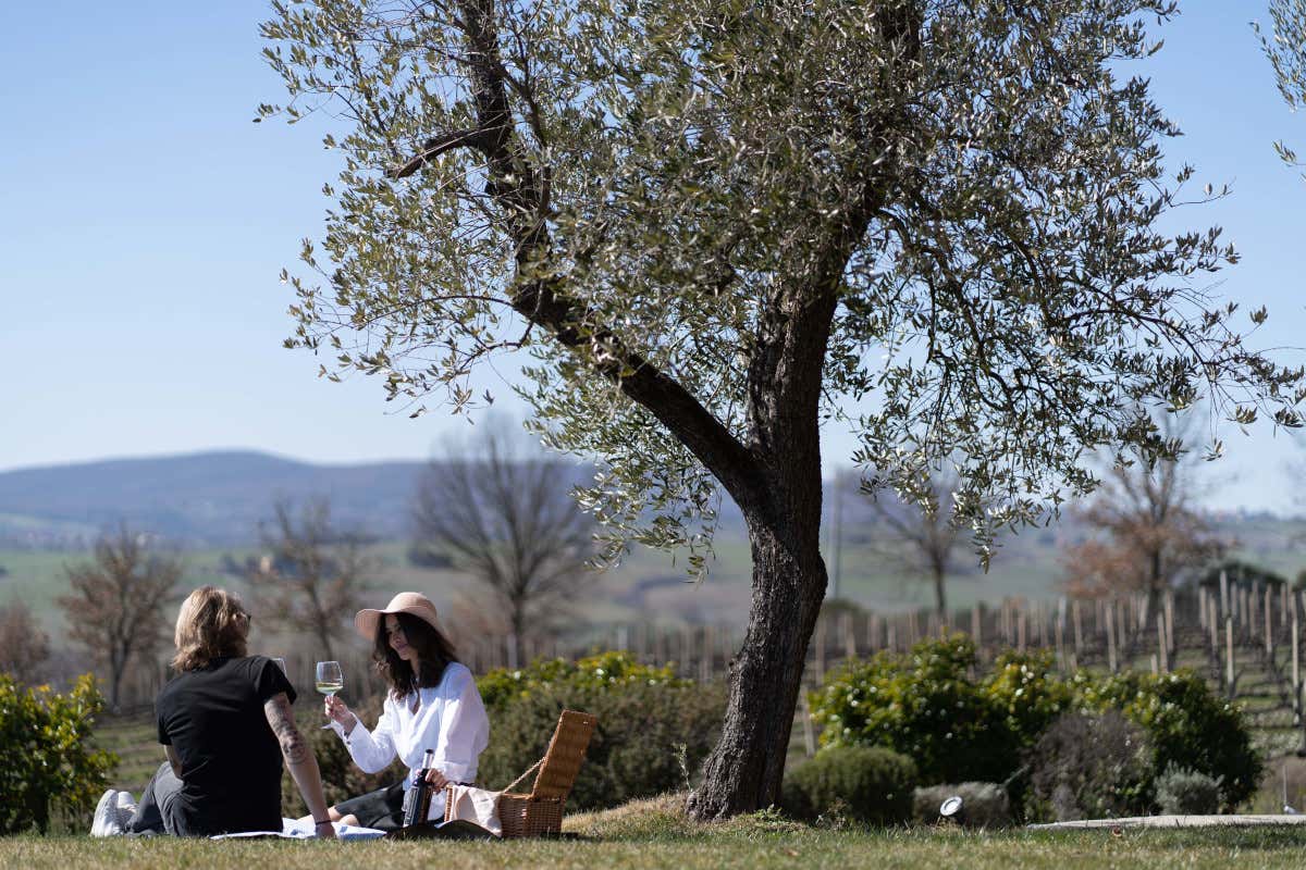 Cantine Aperte in Umbria, oltre 40 aziende coinvolte nell’edizione 2026 Cantine Aperte in Umbria, oltre 40 aziende coinvolte nell’edizione 2026