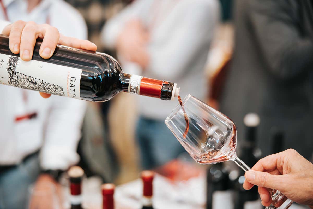 Taste Alto Piemonte 2025: Stresa diventa capitale del Nebbiolo
