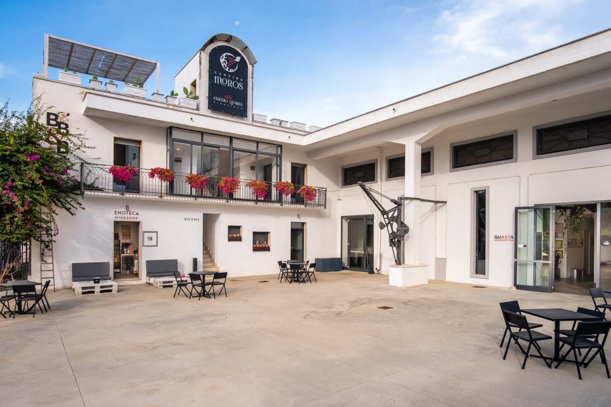 Claudio Quarta lascia il vino: parte dal Salento il progetto mediterraneo di Tommasi Claudio Quarta lascia il vino: parte dal Salento il progetto mediterraneo di Tommasi