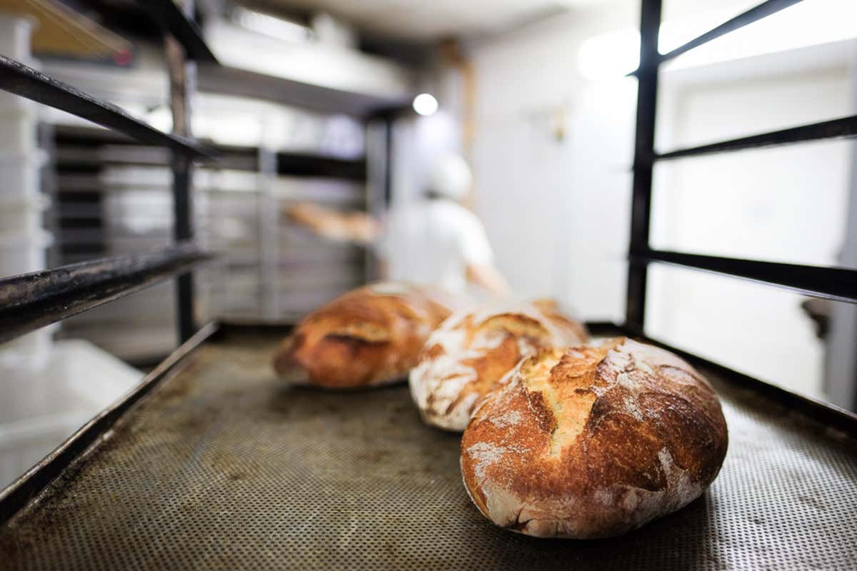 A Monghidoro due giorni dedicati al pane e ai grani dell’Appennino bolognese