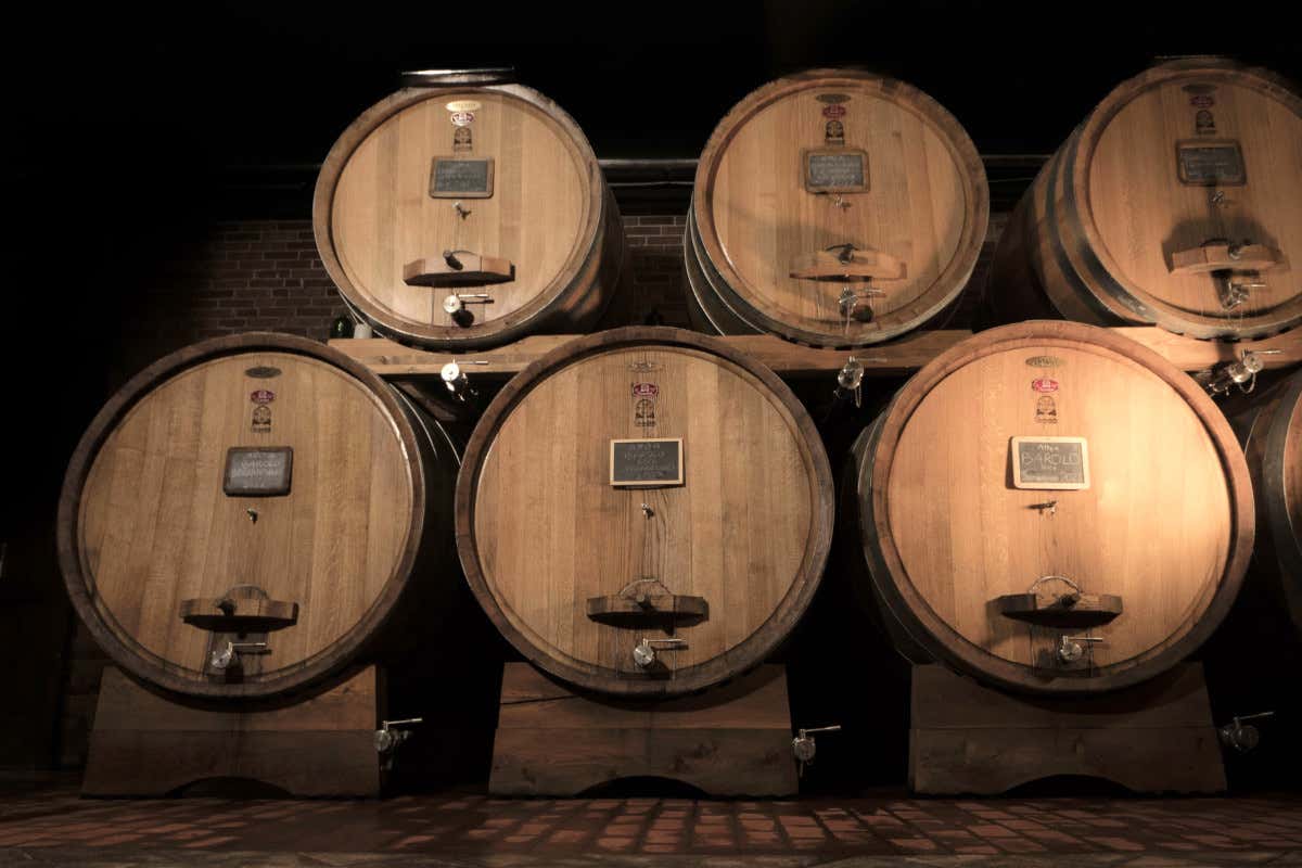 Barolo e territorio: come Dosio interpreta l’eleganza di La Morra Barolo e territorio: come Dosio interpreta l’eleganza di La Morra