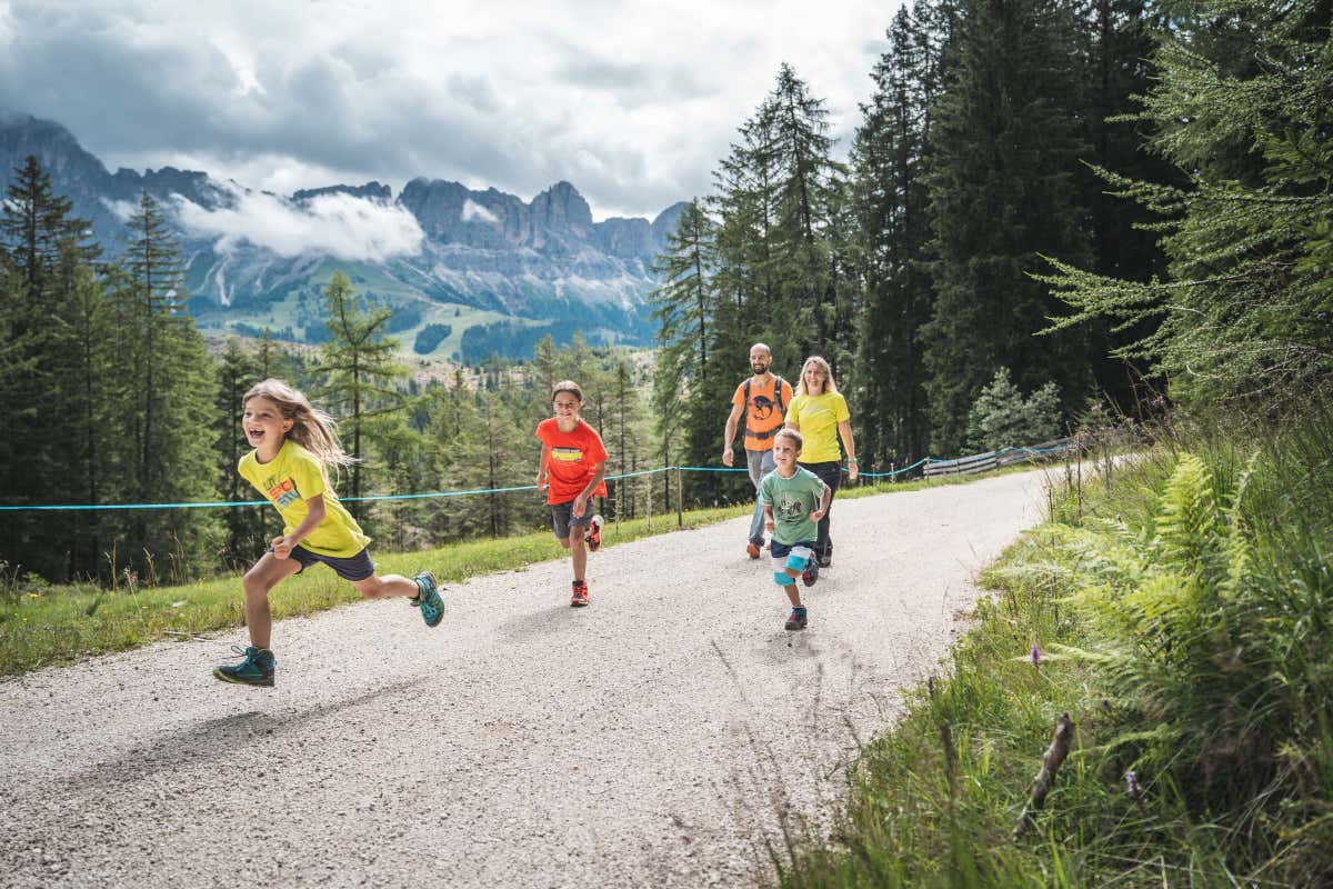 Vivere appieno la Val d'Ega in estate tra escursioni, bici e gastronomia