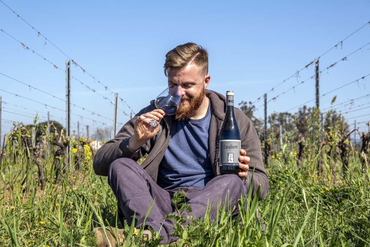 V per... Vino: Milano ospita Verdicchio, Vernaccia e Vermentino