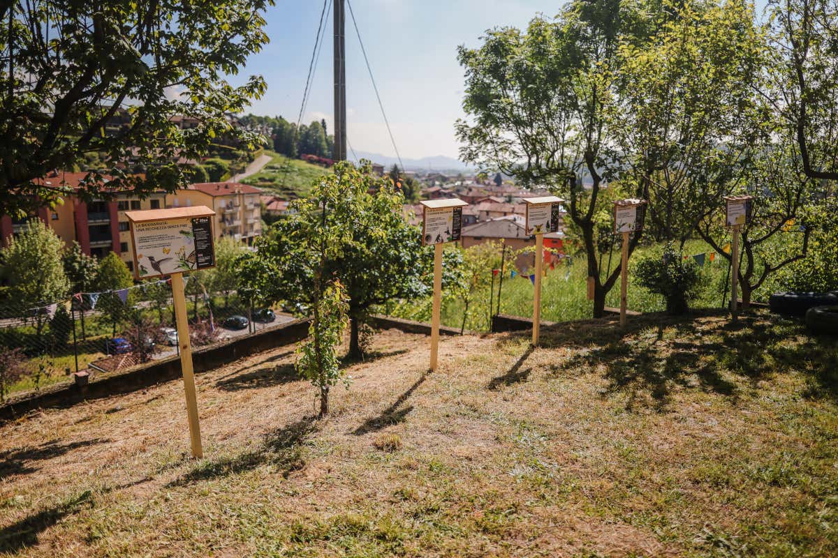 Agromonte: 25 anni di eccellenza nella trasformazione del pomodorino siciliano