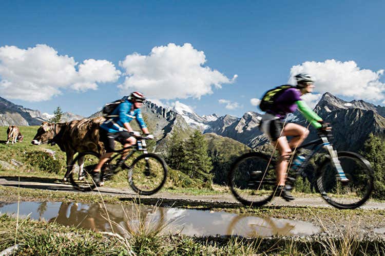 (A&L Wellnessresort Amonti & Lunaris Autunno sportivo con Porsche ed e-bike)