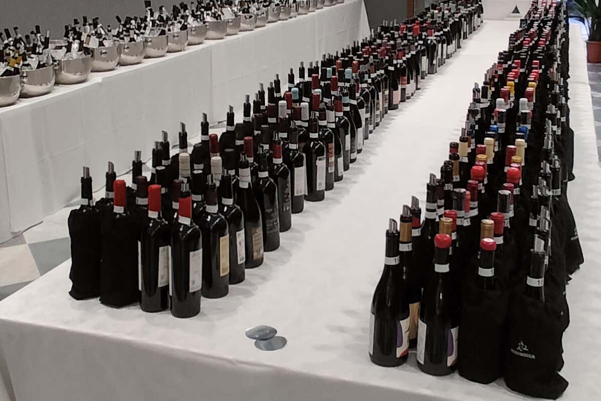 Sicilia en Primeur 2026, 56 cantine raccontano il vino tra Etna e Palermo Sicilia en Primeur 2026, 56 cantine raccontano il vino tra Etna e Palermo