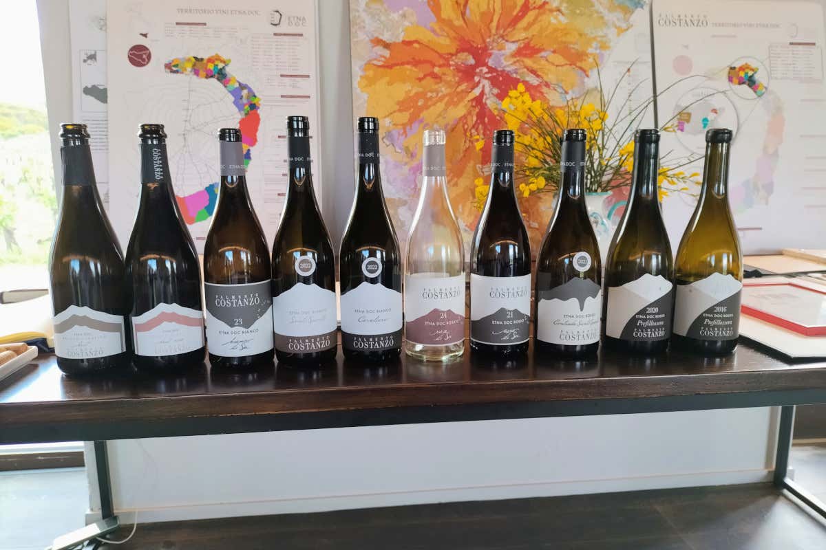 Sicilia en Primeur 2026, 56 cantine raccontano il vino tra Etna e Palermo Sicilia en Primeur 2026, 56 cantine raccontano il vino tra Etna e Palermo