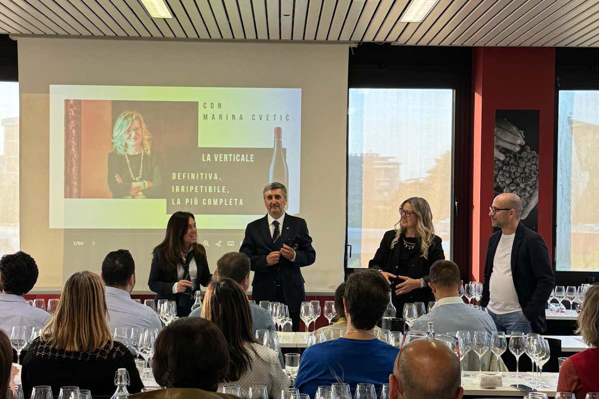 Masciarelli, 25 anni di Montepulciano “Marina Cvetic” in 12 bottiglie Masciarelli, 25 anni di Montepulciano “Marina Cvetic” in 12 bottiglie