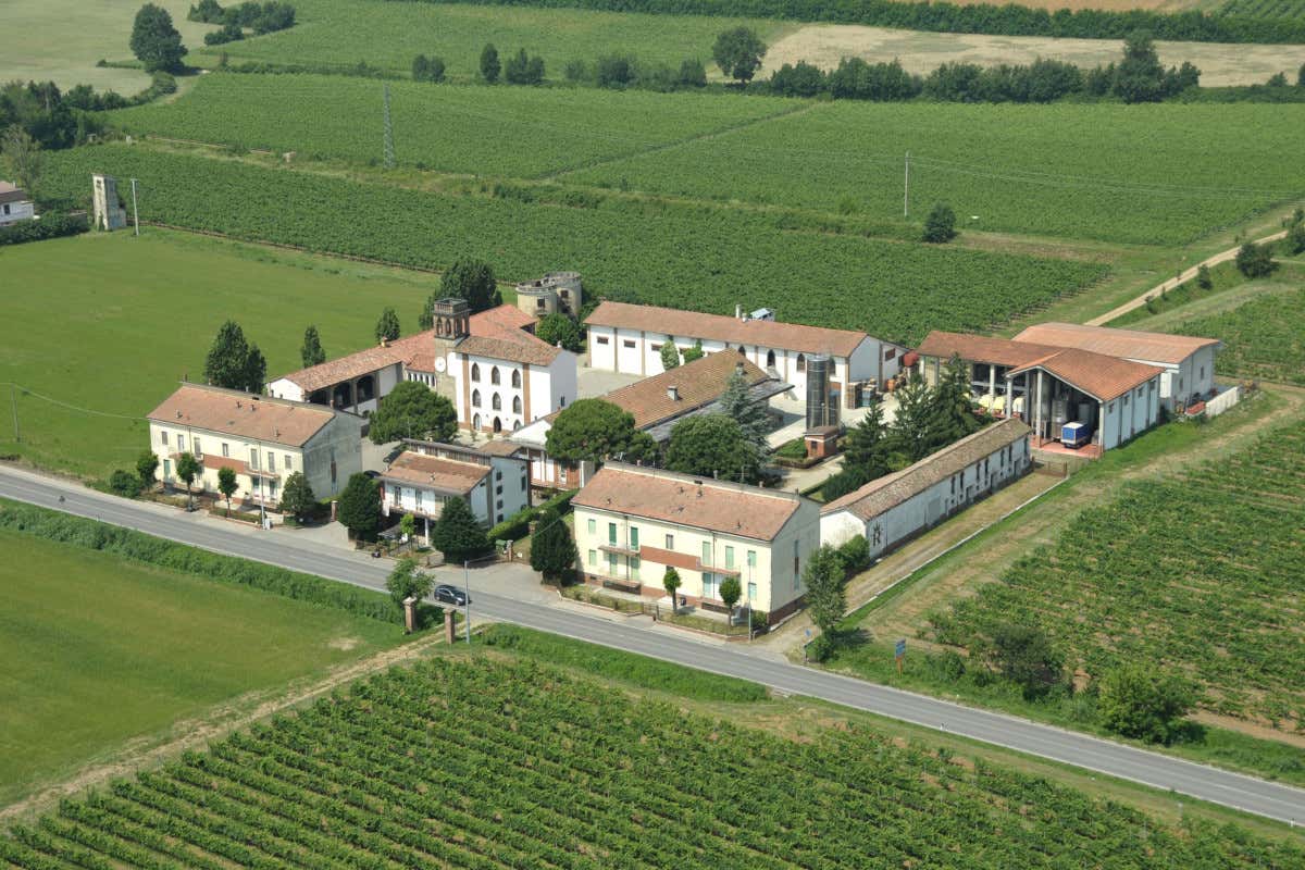 Cantine Romagnoli entra in Compagnia delle Vigne Colli piacentini: Cantine Romagnoli entra in Compagnia delle Vigne Cantine Romagnoli entra in Compagnia delle Vigne Colli piacentini: Cantine Romagnoli entra in Compagnia delle Vigne