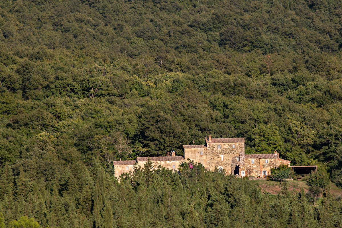 Vino e arte a Trinoro: le opere di Salvo raccontano la memoria della Sicilia