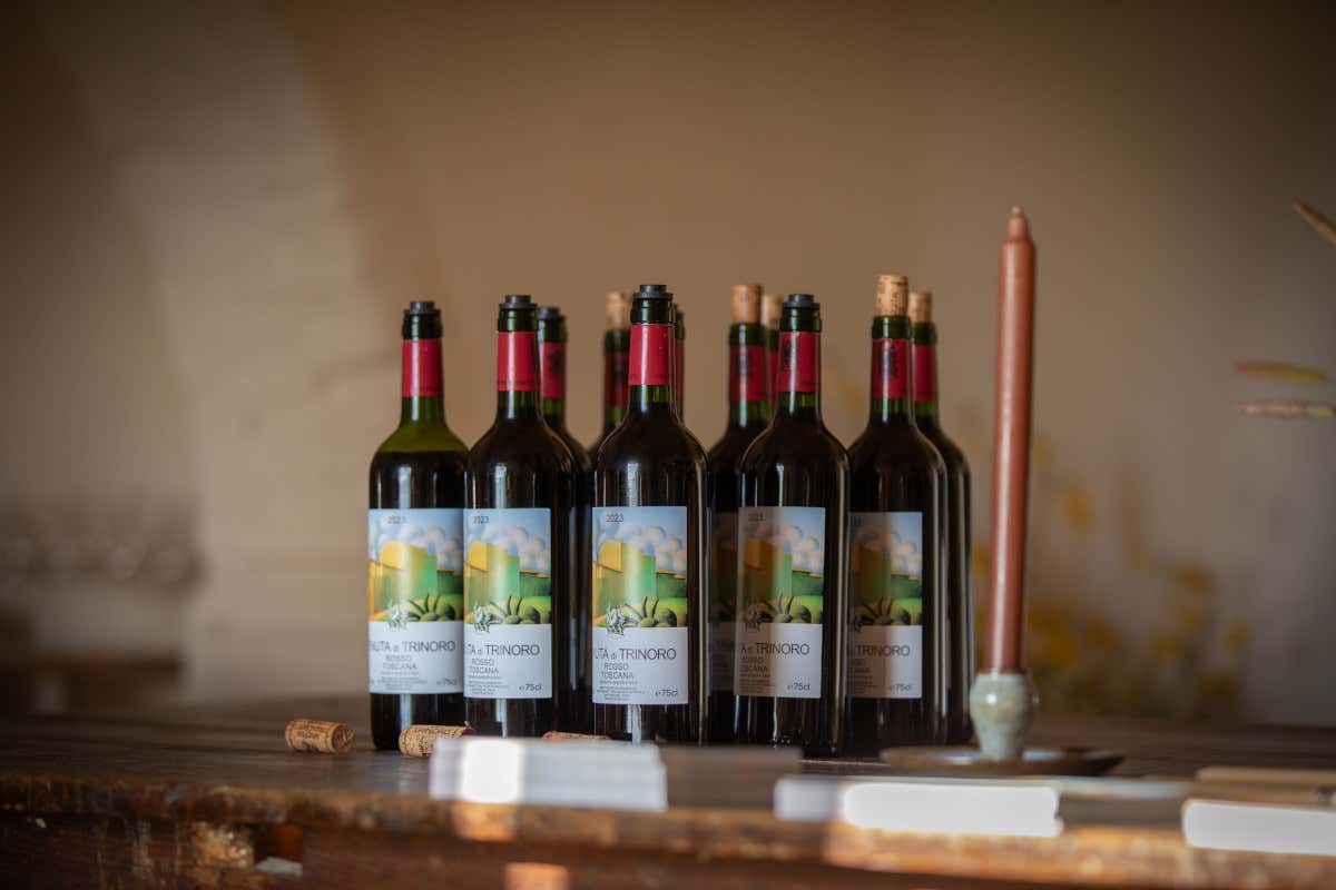 Vino e arte a Trinoro: le opere di Salvo raccontano la memoria della Sicilia