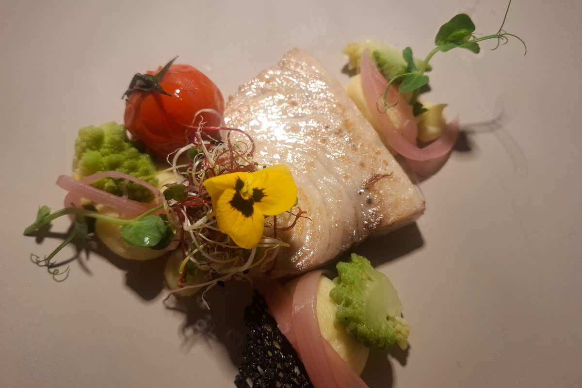 Dal borgo medievale al resort 5 stelle: viaggio gourmet al Quellenhof di Lazise