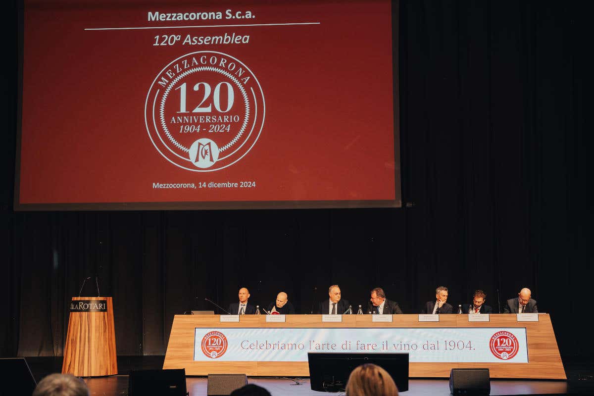 Bilancio solido e vendite record, Mezzacorona sfida la crisi del mondo del vino Bilancio solido e vendite record, Mezzacorona sfida la crisi del mondo del vino