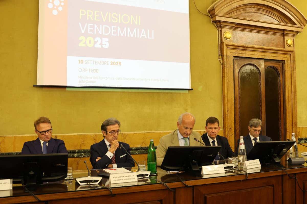 Produzione di vino in Italia 2025: +8% rispetto al 2024, Sud in forte ripresa