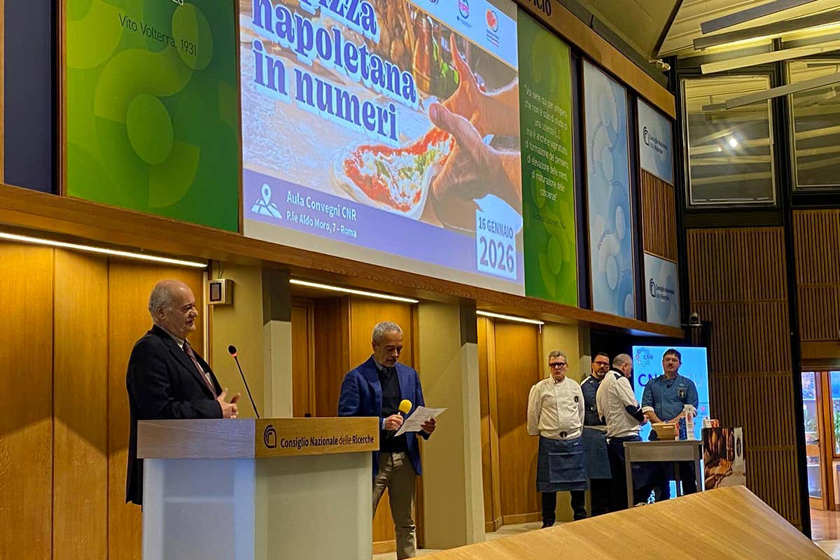 Quanto costa la Margherita in Italia? I dati dell’Osservatorio della pizza napoletana